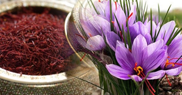 Foto - Kilosu 20 bin TL!