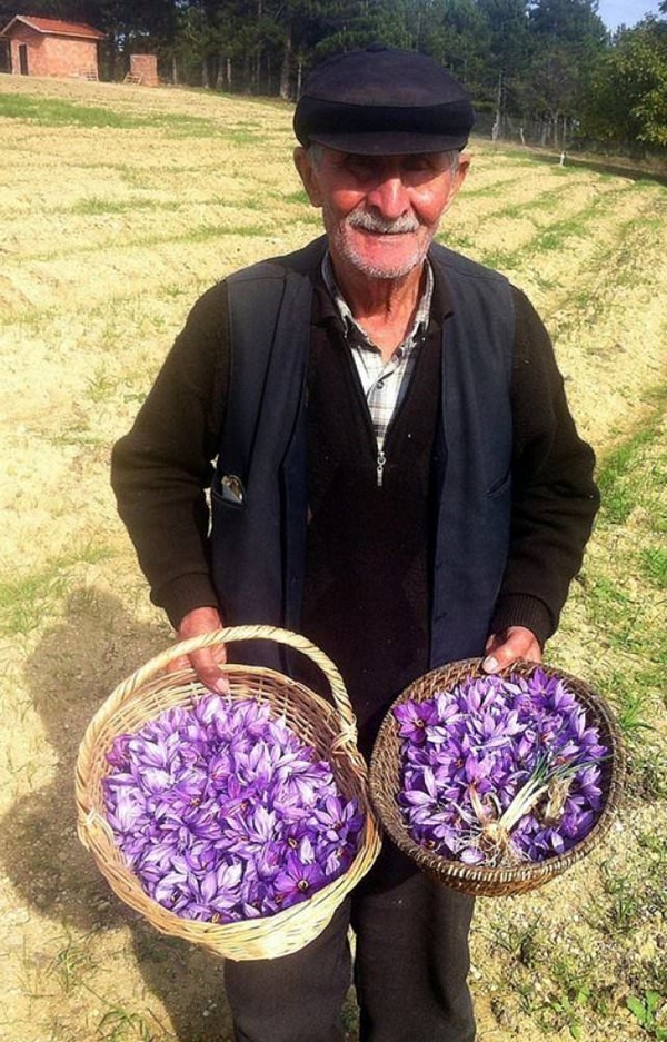 Foto - Kilosu 20 bin TL!