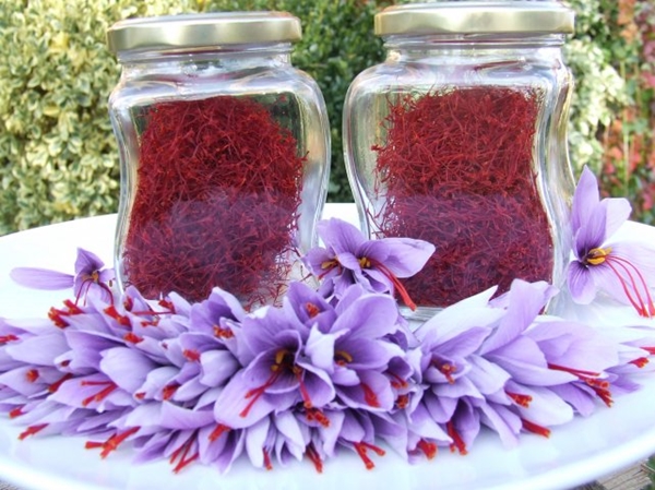 Foto - Kilosu 20 bin TL!