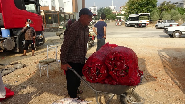 Foto - Kilosu 20 TL! Meşakkatli salça yolculuğu başladı