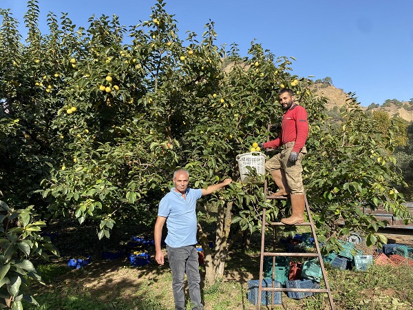 Foto - Kilosu 200 TL! Talebe yetişemiyorlar