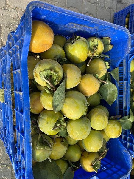 Foto - Kilosu 200 TL! Talebe yetişemiyorlar