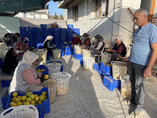 Foto - Kilosu 200 TL! Talebe yetişemiyorlar