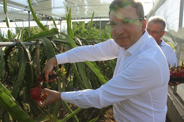 Foto - Kilosu 200 TL'ye satılıyor! Küresel ısınmayı bakın nasıl fırsata çevirdiler