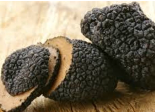 Foto - Kilosu 3 bin euro’ya satılıyor! Radar köpekleri ile aranıyor