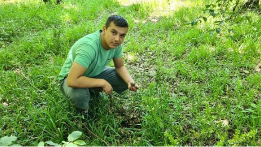 Foto - Kilosu 3 bin euro’ya satılıyor! Radar köpekleri ile aranıyor