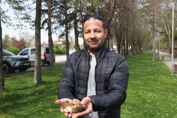 Foto - Kilosu 3 bin lira! Ormanda kilolarca bulup sevinçten oynamaya başladılar