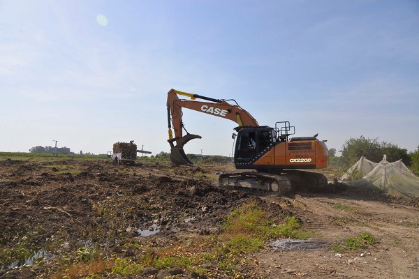 Foto - Kilosu 30 kuruşa düştü! 