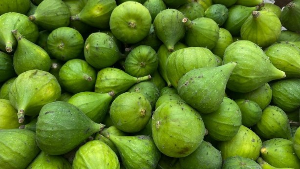 Foto - Kilosu 40 lira! Sinekli meyve kapış kapış gidiyor