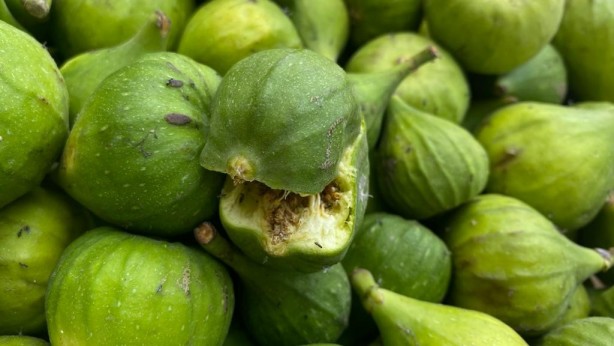 Foto - Kilosu 40 lira! Sinekli meyve kapış kapış gidiyor