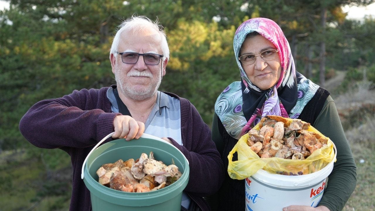 Foto - Kilosu 400 liradan 50 liraya kadar düştü! Ormanlara akın edip kovalarca topluyorlar