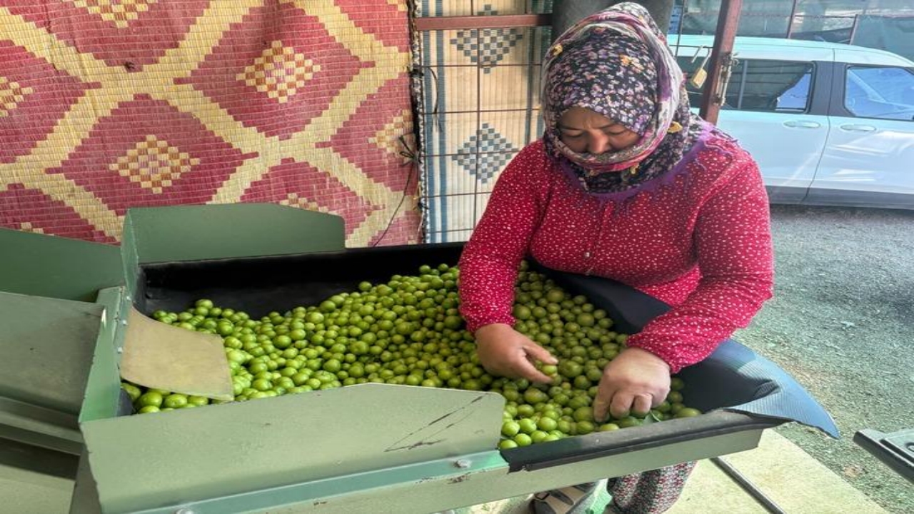 Foto - Kilosu 450 TL! Almanya, İngiltere ve Arap ülkeleri, o Türk ürünü için kuyruğa girdi! Resmen birbirlerini yiyorlar 