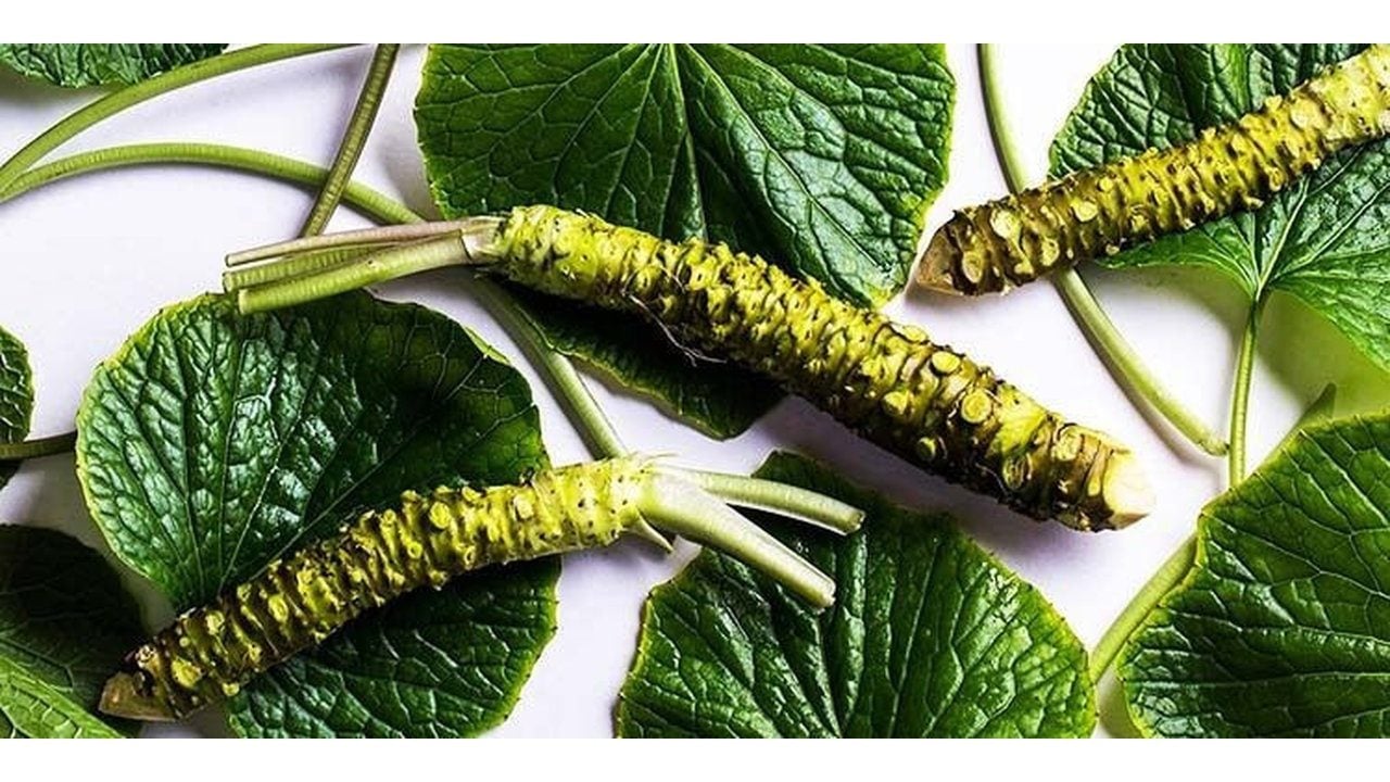 Kilosu 5 bin dolara peynir ekmek gibi satılıyor: Bu hasadı yapan, paraya para demiyor