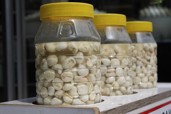 Foto - Kilosu 5 bin TL! Bu sakız altından daha değerli