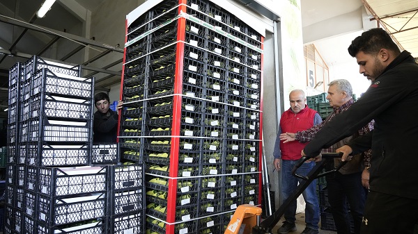 Foto - Kilosu 5 dolara satılıyor! Türkiye’den Rusya’ya tır tır gidiyor