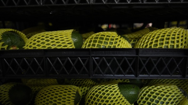 Foto - Kilosu 5 dolara satılıyor! Türkiye’den Rusya’ya tır tır gidiyor