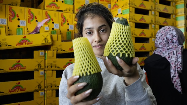 Foto - Kilosu 5 dolara satılıyor! Türkiye’den Rusya’ya tır tır gidiyor