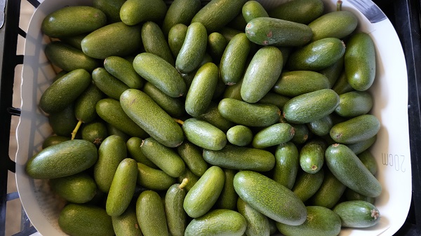 Foto - Kilosu 5 dolara satılıyor! Türkiye’den Rusya’ya tır tır gidiyor