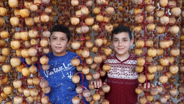 Foto - Kilosu 50 lira, hasat dönemi yoğun geçiyor: Kurusu Almanya'ya, yaşı Rusya'ya gidiyor!