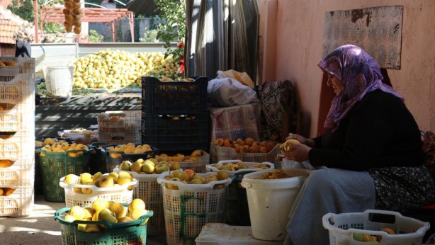 Foto - Kilosu 50 lira, hasat dönemi yoğun geçiyor: Kurusu Almanya'ya, yaşı Rusya'ya gidiyor!