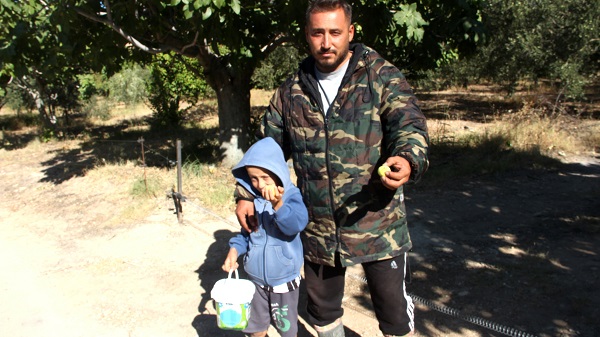 Foto - Kilosu 55 TL! İncir bu sene yüzleri güldürdü