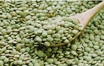 Foto - Kilosu 70-80 liraları görmüştü! Erdoğan imzaladı, yeşil mercimekle ilgili kritik karar alındı