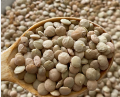 Foto - Kilosu 70-80 liraları görmüştü! Erdoğan imzaladı, yeşil mercimekle ilgili kritik karar alındı