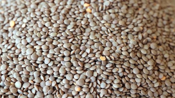 Kilosu 70-80 liraları görmüştü! Erdoğan imzaladı, yeşil mercimekle ilgili kritik karar alındı