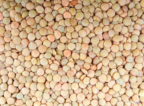 Foto - Kilosu 70-80 liraları görmüştü! Erdoğan imzaladı, yeşil mercimekle ilgili kritik karar alındı