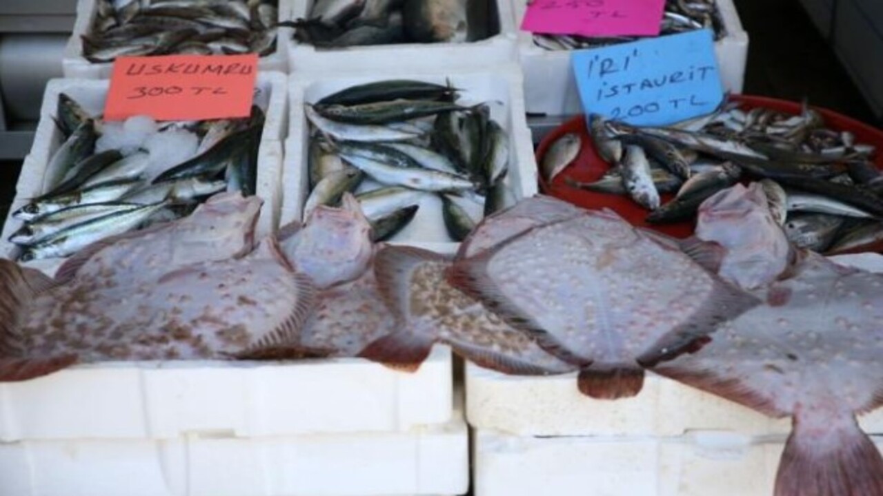 Foto - Kilosu 700 liradan başlıyor! Balık tezgahlarında bereket