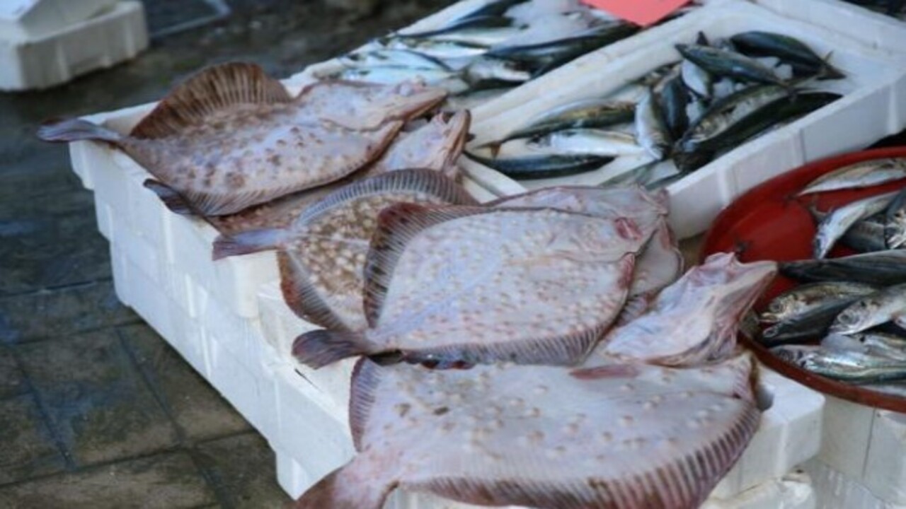 Foto - Kilosu 700 liradan başlıyor! Balık tezgahlarında bereket