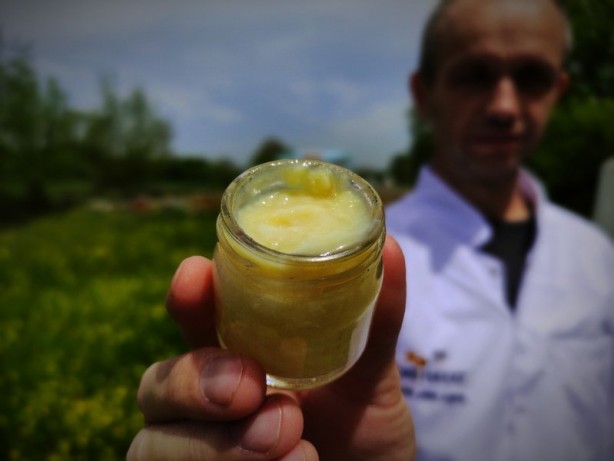 Foto - Kilosu 8 bin lira! Arı sütü hasadı başladı