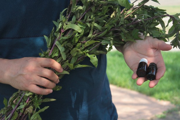 Foto - Kilosu adeta cep yakıyor! ‘Almanlara Rakip Olduk Geliyoruz’ Diyorlar