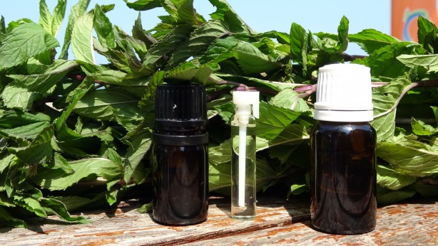 Kilosu adeta cep yakıyor! ‘Almanlara Rakip Olduk Geliyoruz’ Diyorlar