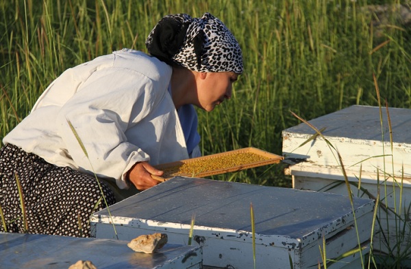 Foto - Kilosu tam 300 liraya satılıyor