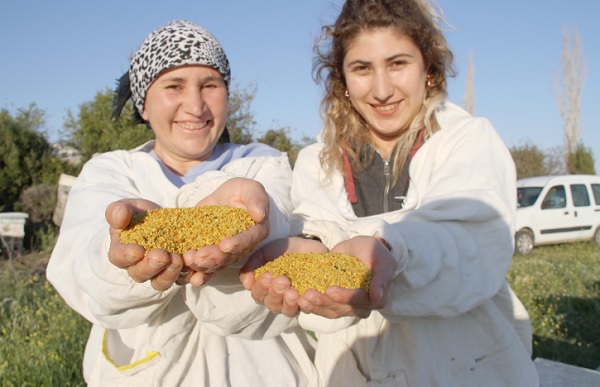 Foto - Kilosu tam 300 liraya satılıyor