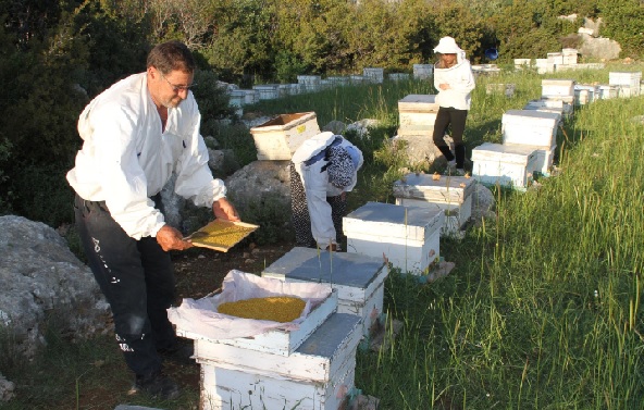 Foto - Kilosu tam 300 liraya satılıyor