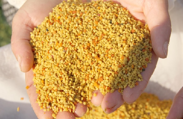 Foto - Kilosu tam 300 liraya satılıyor