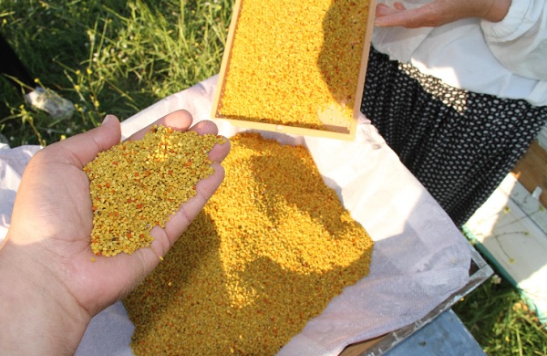 Foto - Kilosu tam 300 liraya satılıyor