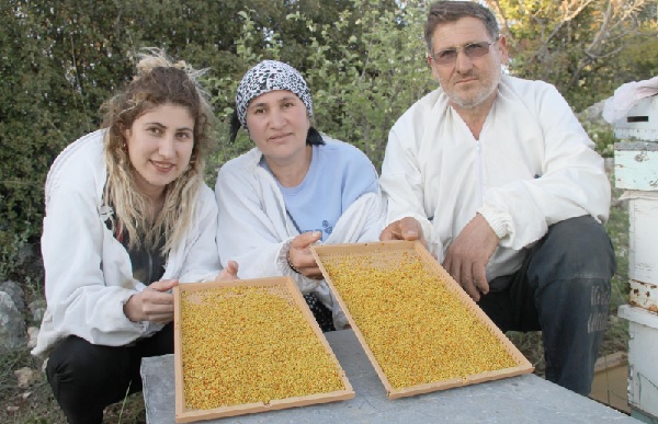 Foto - Kilosu tam 300 liraya satılıyor