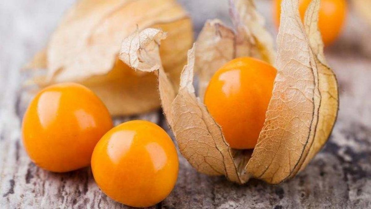 Foto - Kilosu tam 500 liradan satılıyor: Üreten, sadece bir senede evini ve arabasını alıyor