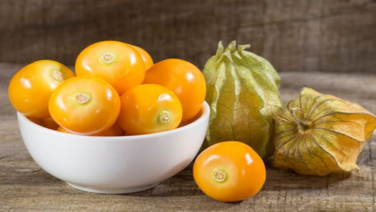 Foto - Kilosu tam 500 liradan satılıyor: Üreten, sadece bir senede evini ve arabasını alıyor