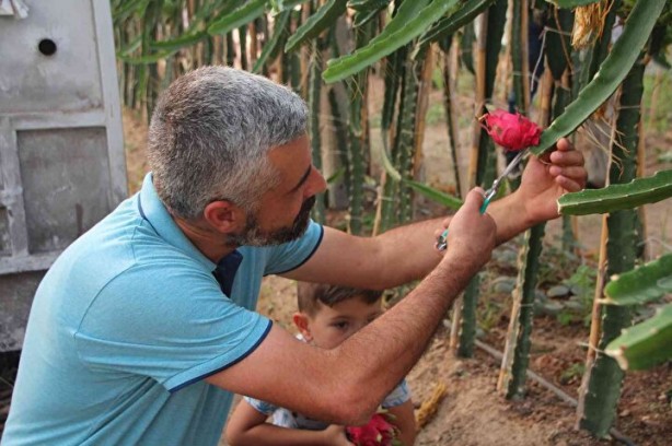 Foto - Kilosu yok artık dedirtti! Serasına kamera sistemi ve soba kurdu: Gözümüz gibi bakıyoruz!