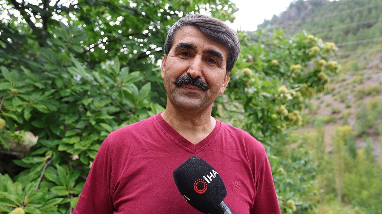 Foto - Kilosunu 500 liradan satıyor! "Burada yetişmez" diyenlere cevabı hasatla verdi