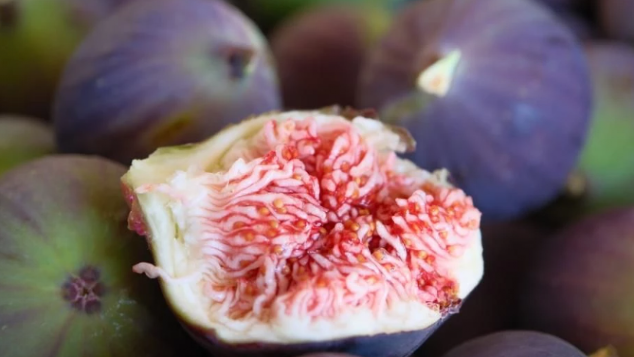 Kilosunun fiyatı yüzleri güldürdü! ‘Bursa Karası'na yurt dışından yoğun talep