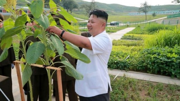 Foto - Kim Jong Un diktatörlüğü hakkında bilinmeyenler