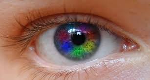 Foto - Kim olduğu gözünden belli