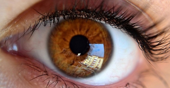 Foto - Kim olduğu gözünden belli