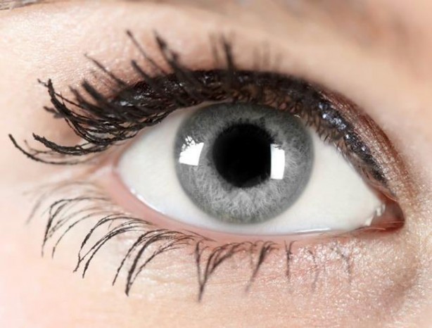 Foto - Kim olduğu gözünden belli