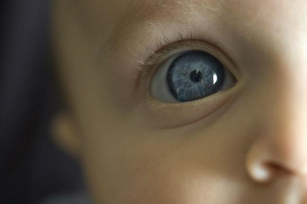 Foto - Kim olduğu gözünden belli